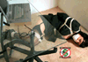 Free Bondage